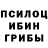 Галлюциногенные грибы Psilocybe Artem Artemm