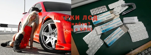 PSILOCYBIN Абдулино